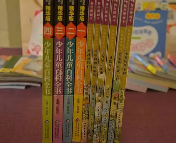 玛丽亚爱心捐书活动今日圆满落幕