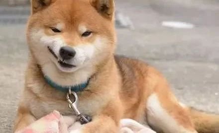 医养型月子中心最靠谱